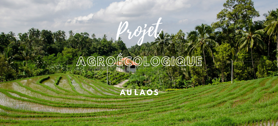 Laos projet agroécologique
