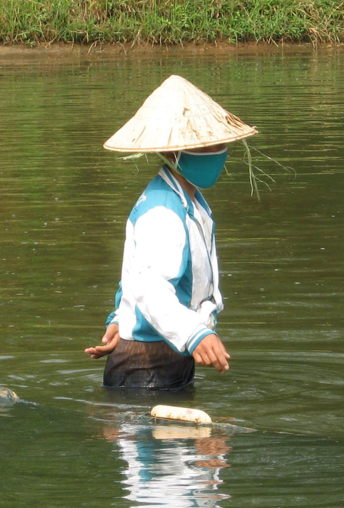 Renforcement de la capacité des femmes dans la gestion de l’eau et la pisciculture