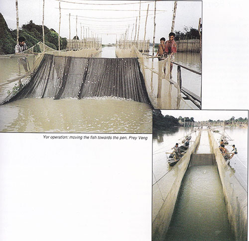 Technique de pêche, capture des poissons