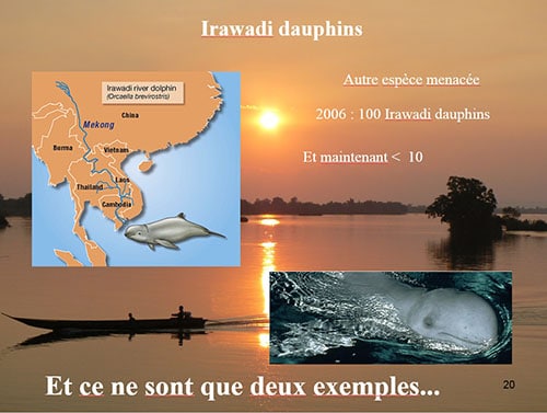 Espèces menacées sur le fleuve Mékong