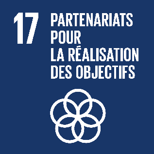 Partenariats pour la réalisation des objectifs ODD n°17
