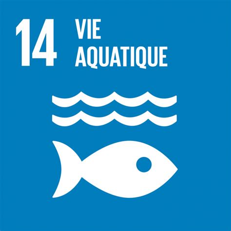 ODD n°14 Vire aquatique