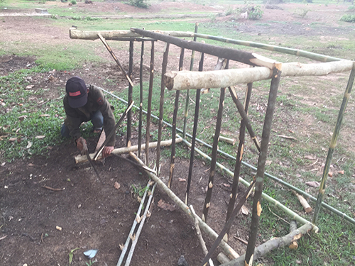 Construction d'une cage à grillons